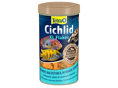 Cichlid foder