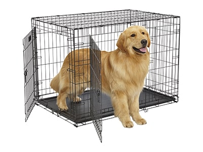 Hundebur til hjemmet