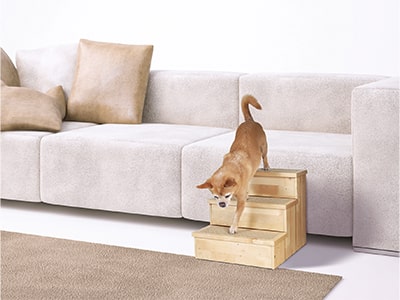 Hundetrapper til senge