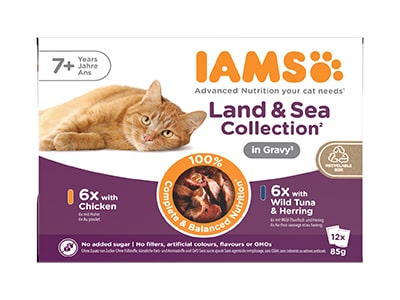 IAMS kattemad