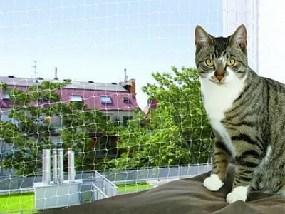 Kattenet & beskyttelse