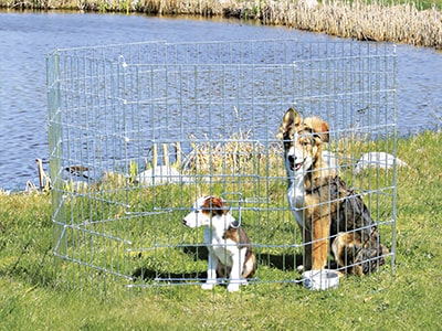 Udendørs hundegård