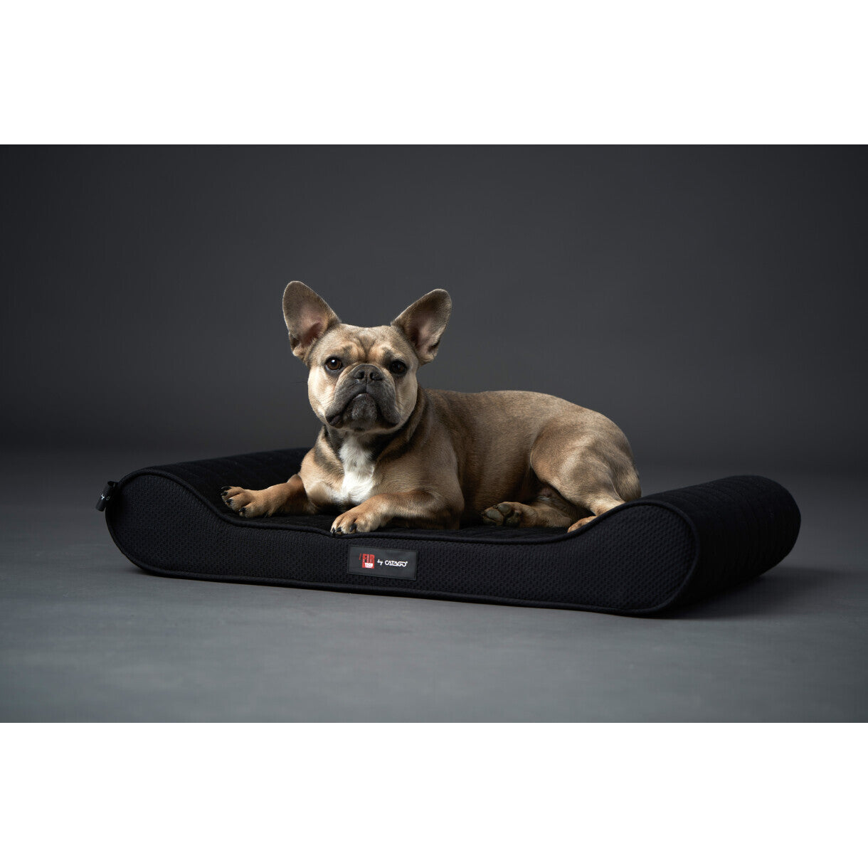 Catago FIR-TECH hundepuder med memory foam for optimal komfort - sort