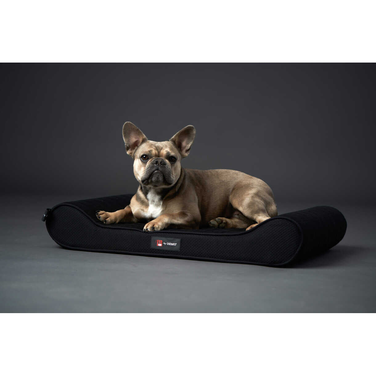 Catago FIR-TECH hundepuder med memory foam for optimal komfort - sort