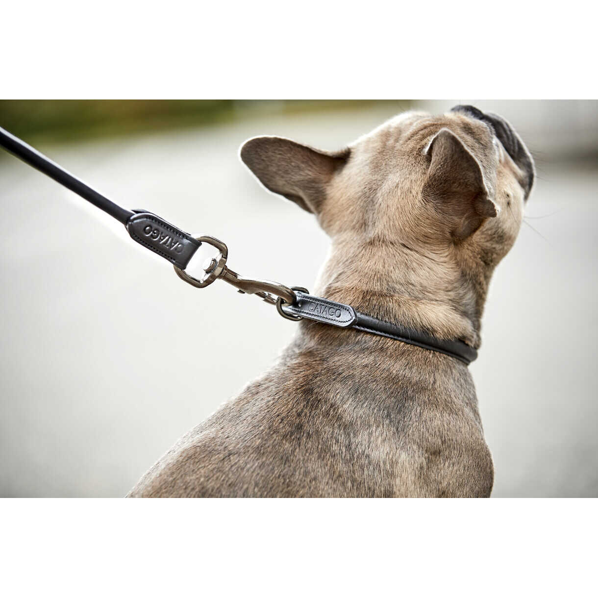CATAGO rundsyet læder hundesnor 1,5m - sort