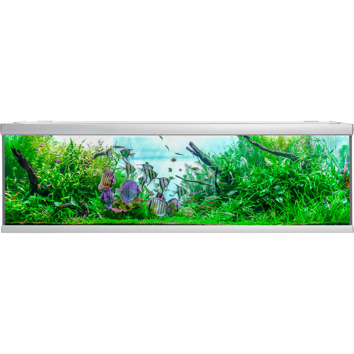 AkvaStabil fusion akvarie - 200 x 75 x 64 cm - 900 liter - sølv farvet