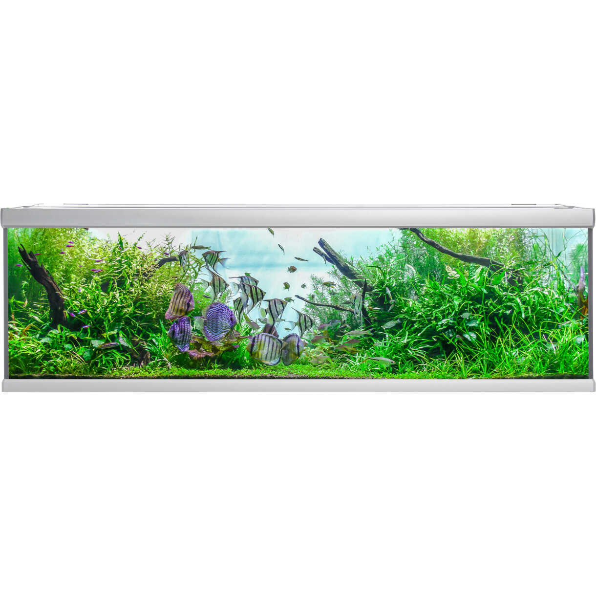 AkvaStabil fusion akvarie - 200 x 75 x 64 cm - 900 liter - sølv farvet
