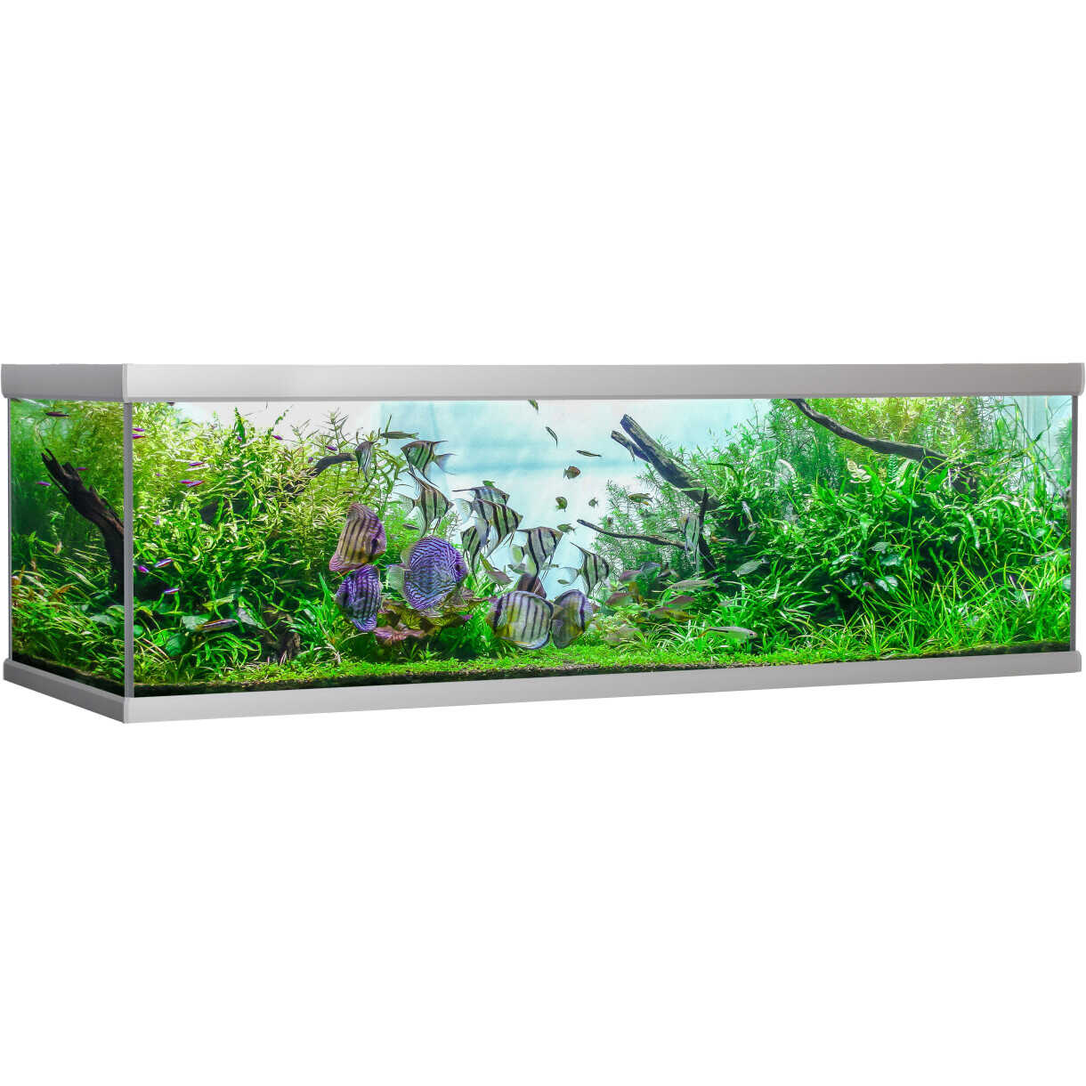 AkvaStabil fusion akvarie - 200 x 75 x 64 cm - 900 liter - sølv farvet