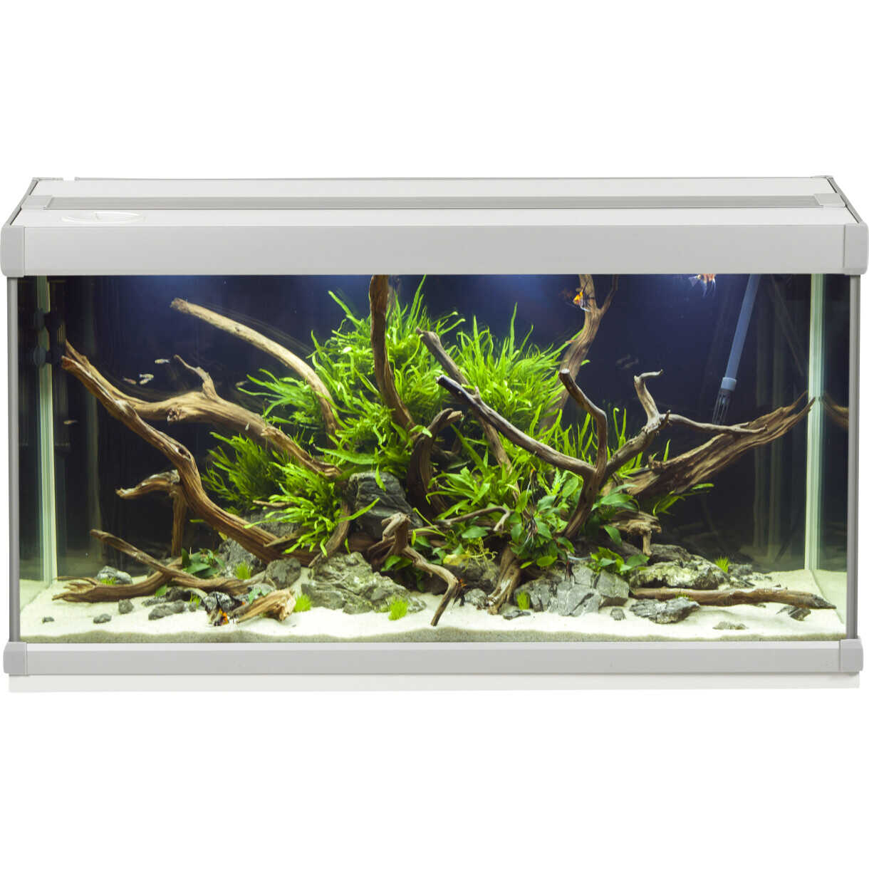AkvaStabil Family akvarie - 70 x 32,5 x 37 cm - hvid - 54 liter - med tetra tilbehør - filter og heater