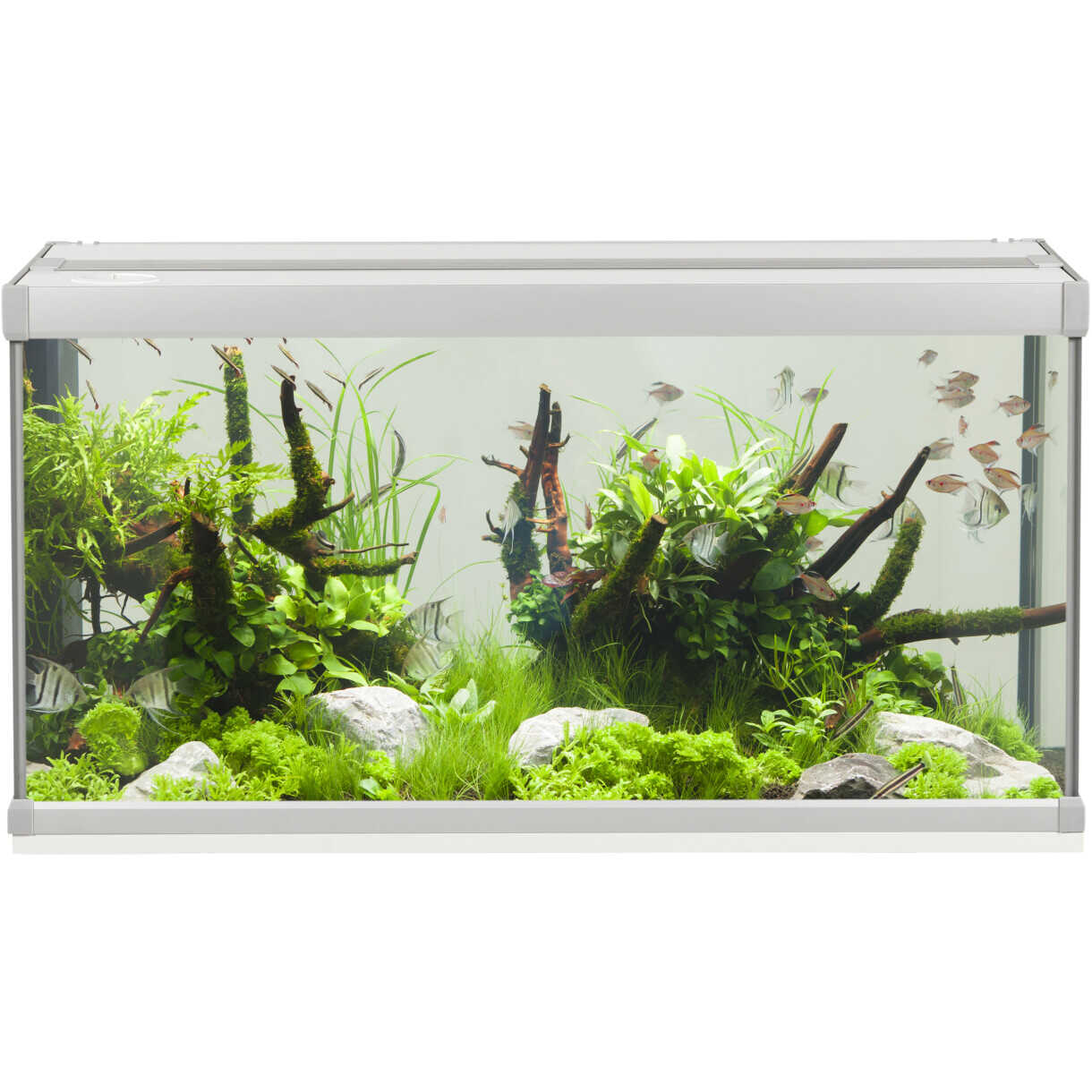 AkvaStabil Family akvarie - 80 x 35 x 42 cm - hvid - 54 liter - med tetra tilbehør - filter og heater