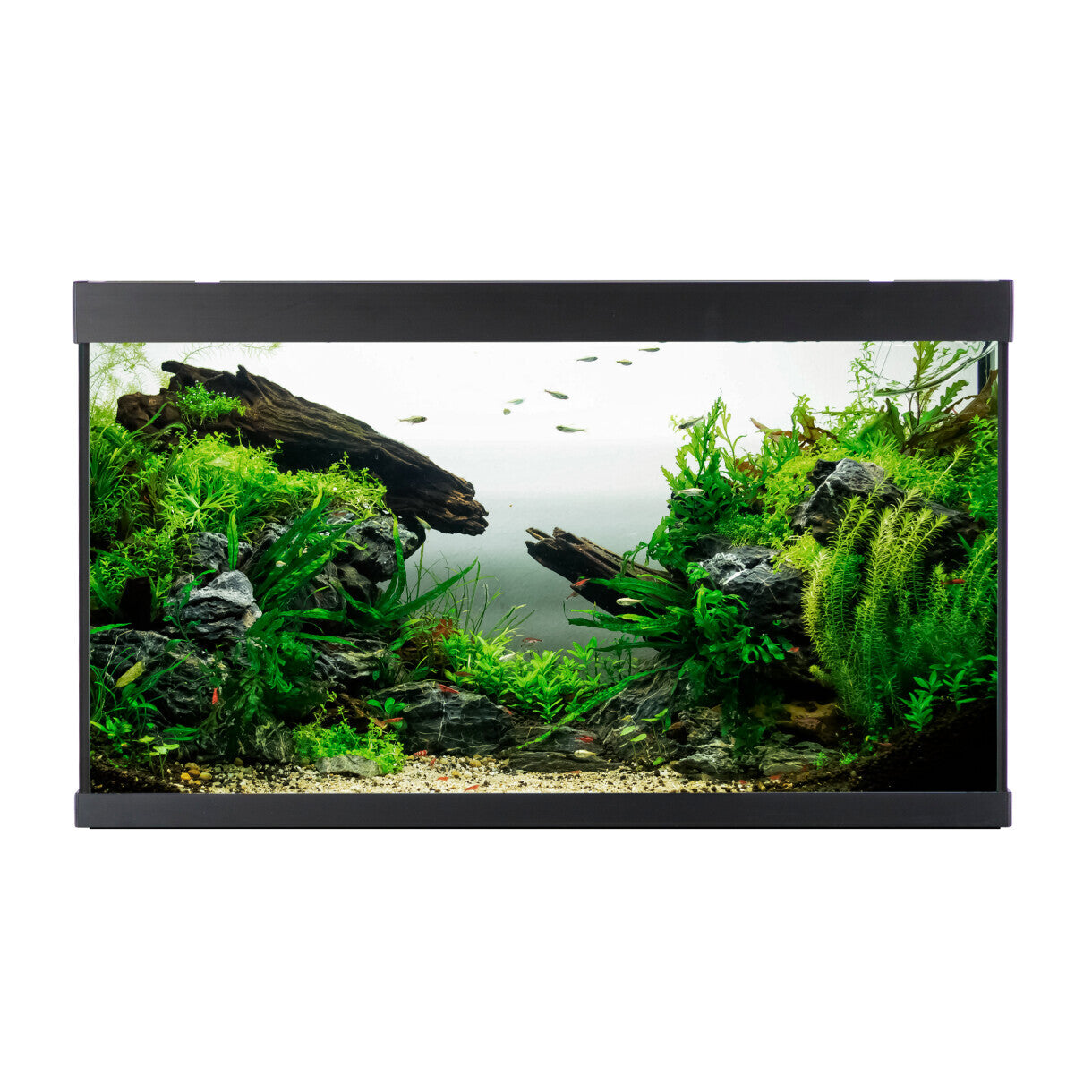 AkvaStabil element akvarie - 80 x 40 x 48 cm - sort med filter - varme og LED-lys - 144 liter