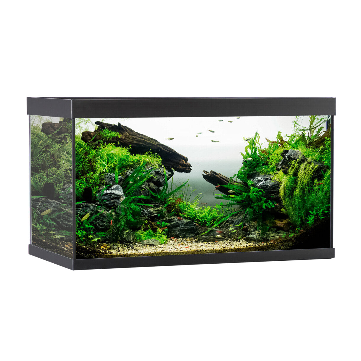 AkvaStabil element akvarie - 80 x 40 x 48 cm - sort med filter - varme og LED-lys - 144 liter