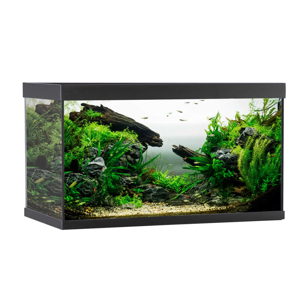 AkvaStabil element akvarie - 80 x 40 x 48 cm - sort med filter - varme og LED-lys - 144 liter