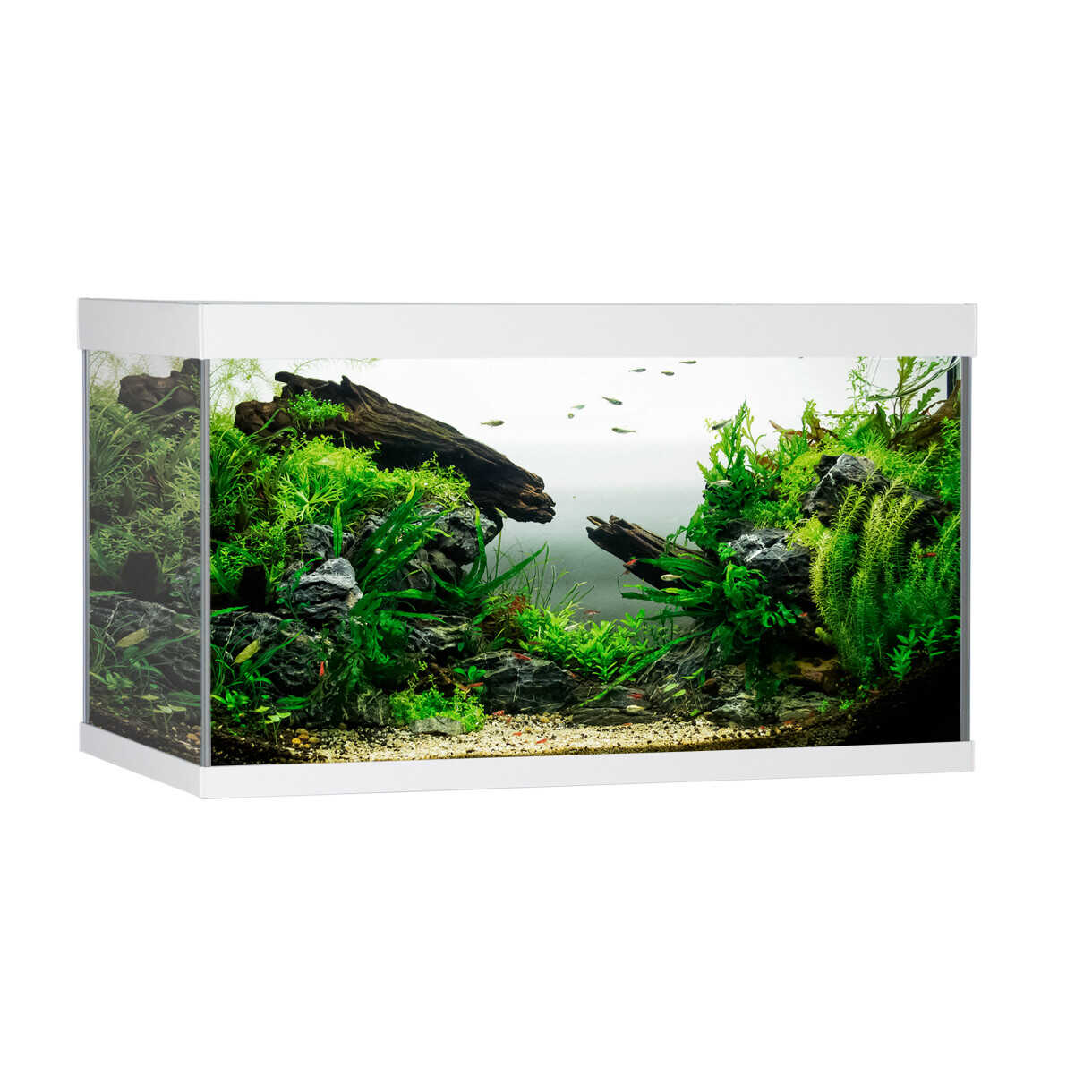 AkvaStabil element akvarie - 80 x 40 x 48 cm - hvid med filter - varme og LED-lys - 144 liter