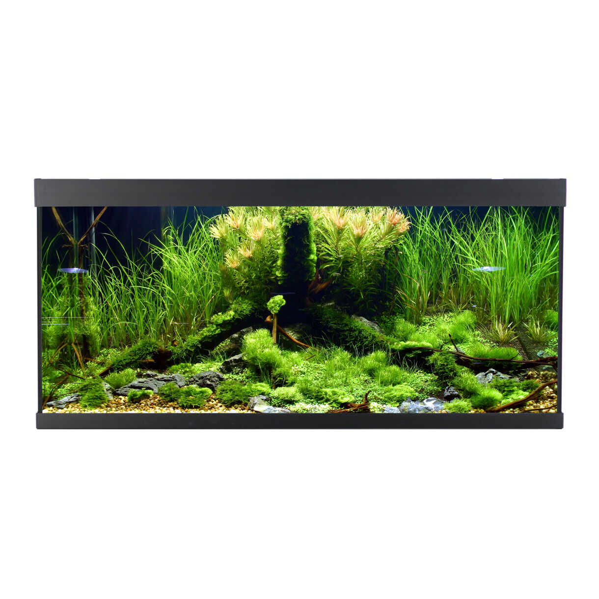 AkvaStabil element akvarie - 100 x 40 x 48 cm - sort - med filter - varme og LED-lys - 180 liter