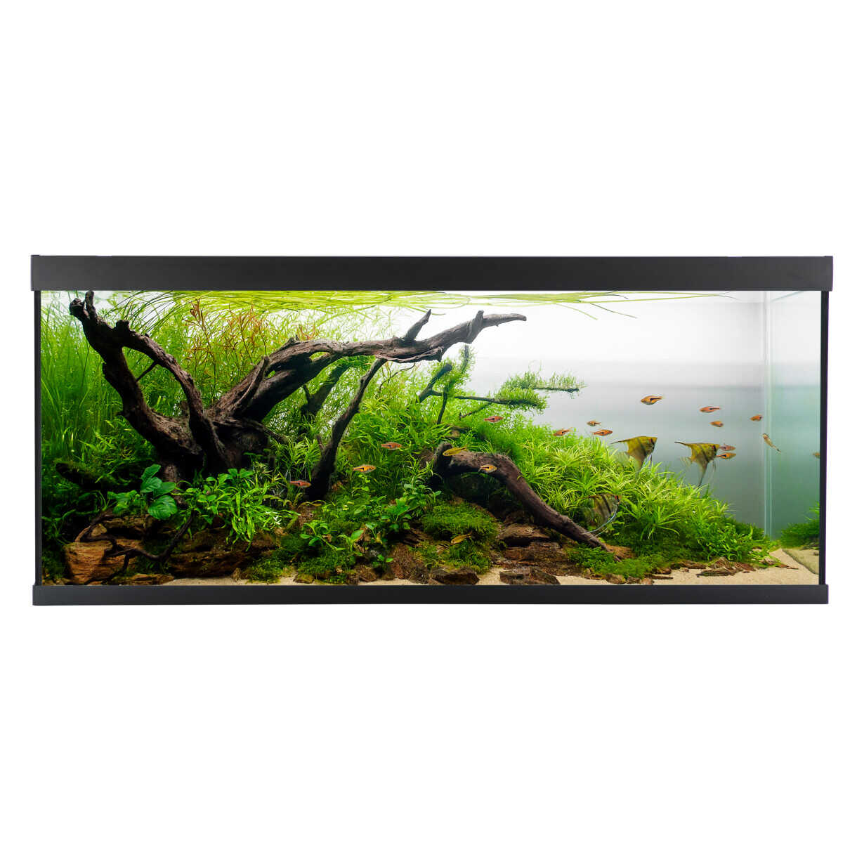 AkvaStabil element akvarie - 120 x 40 x 53 cm - sort - med filter - varme og LED-lys - 240 liter
