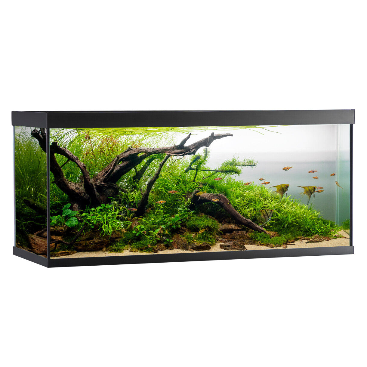 AkvaStabil element akvarie - 120 x 40 x 53 cm - sort - med filter - varme og LED-lys - 240 liter