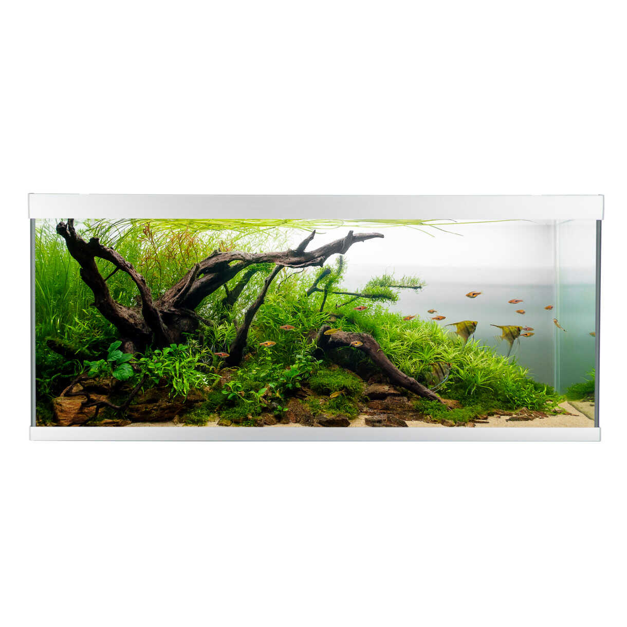 AkvaStabil element akvarie - 120 x 40 x 53 cm - sølv - med filter - varme og LED-lys - 240 liter