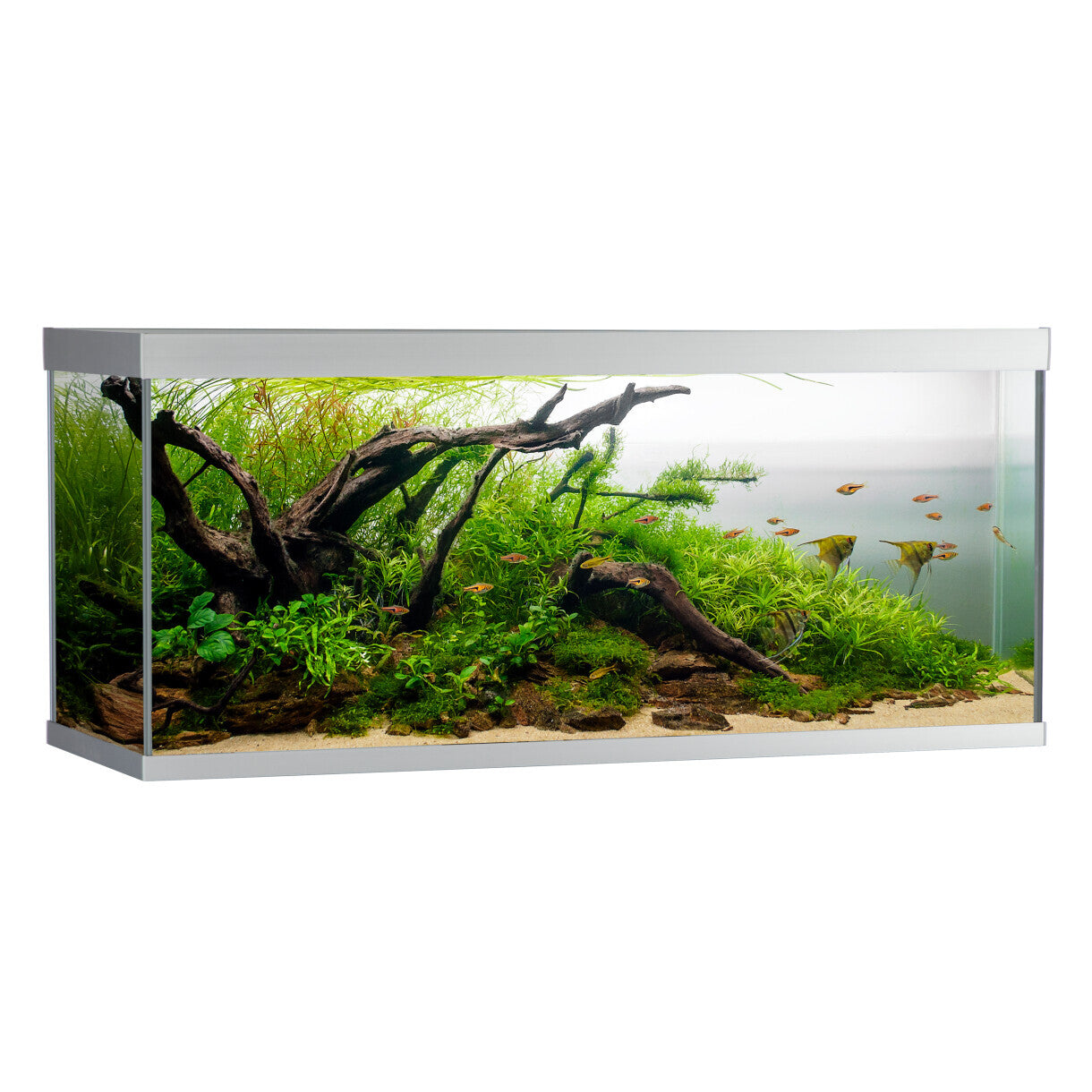 AkvaStabil element akvarie - 120 x 40 x 53 cm - sølv - med filter - varme og LED-lys - 240 liter