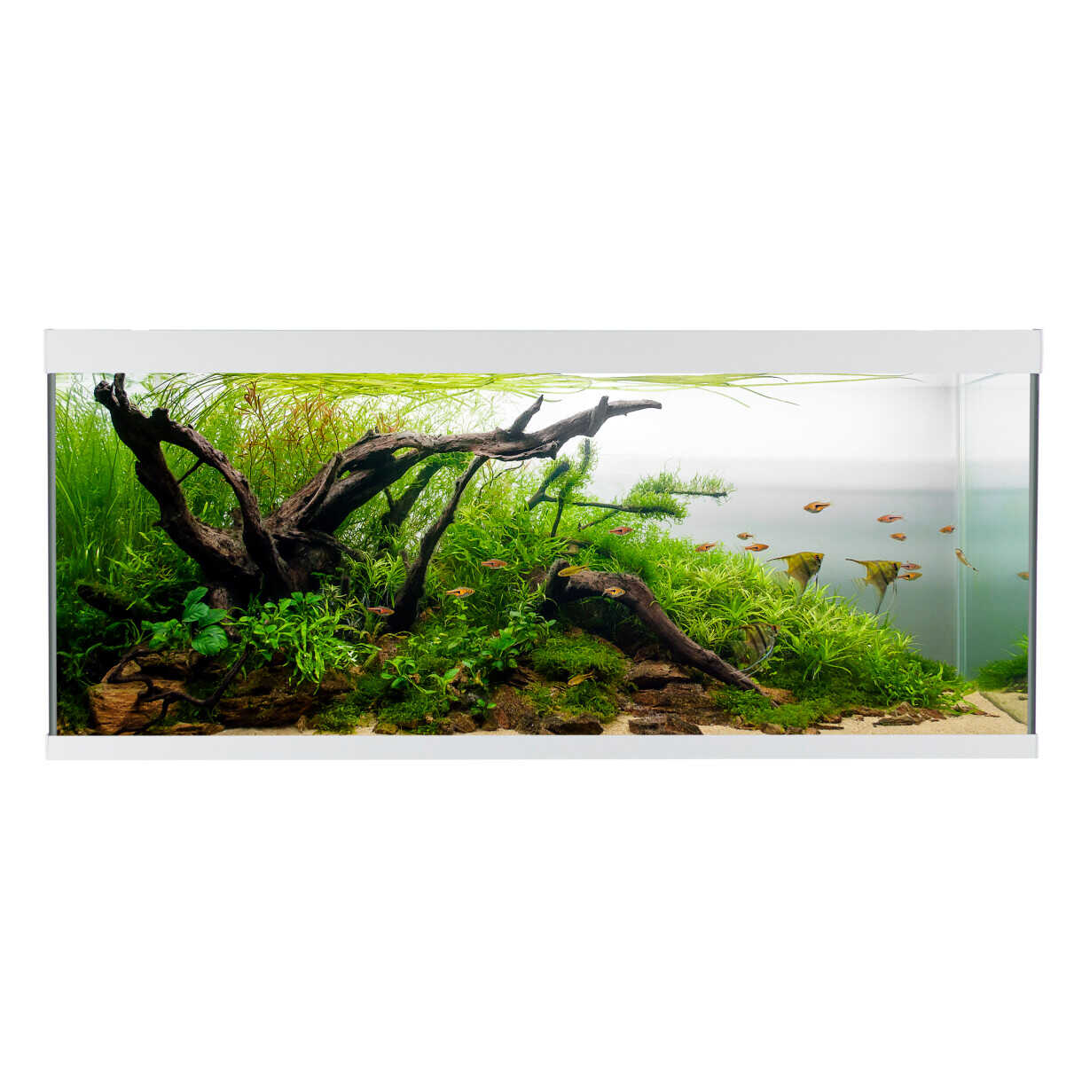 AkvaStabil element akvarie - 120 x 40 x 53 cm - hvid - med filter - varme og LED-lys - 240 liter