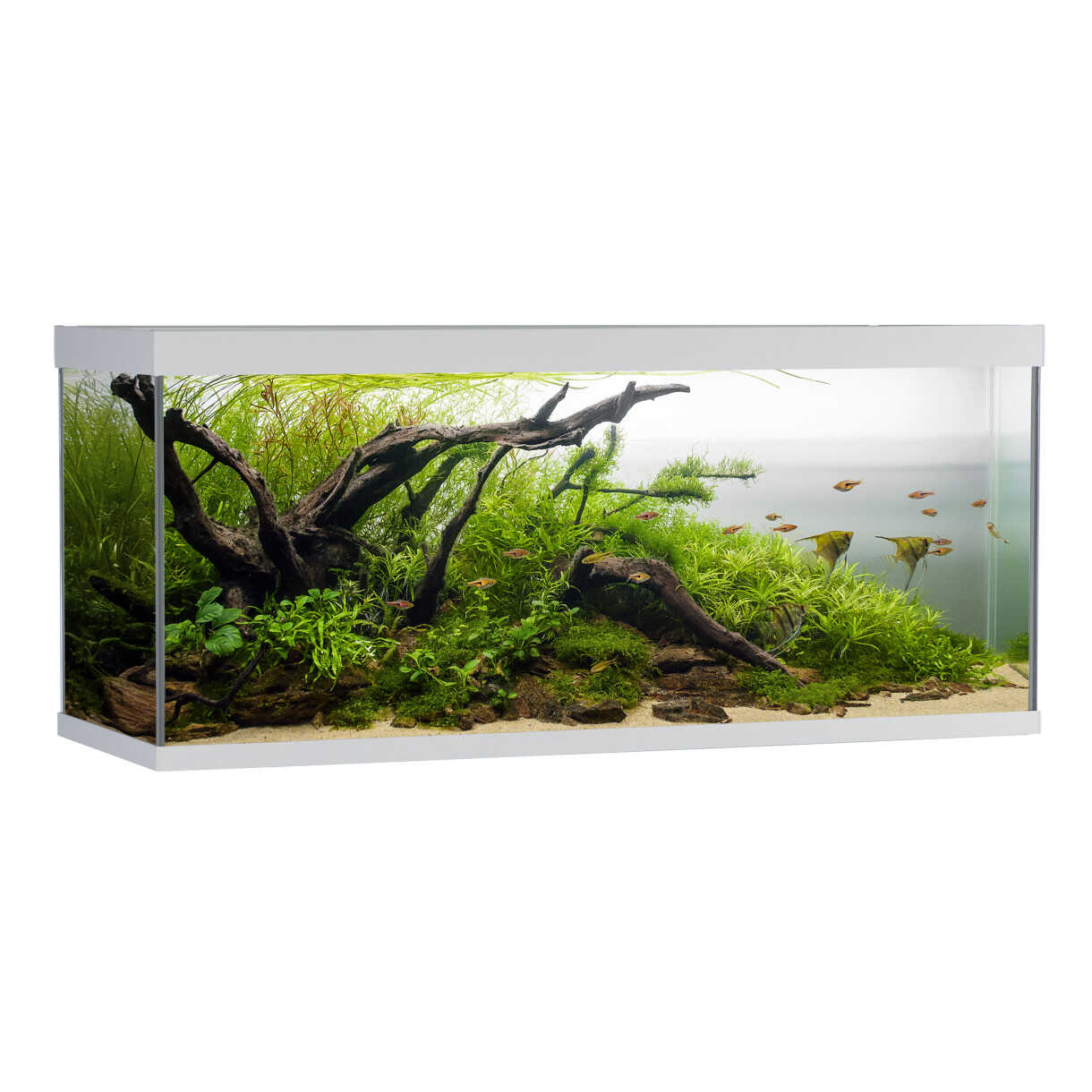 AkvaStabil element akvarie - 120 x 40 x 53 cm - hvid - med filter - varme og LED-lys - 240 liter