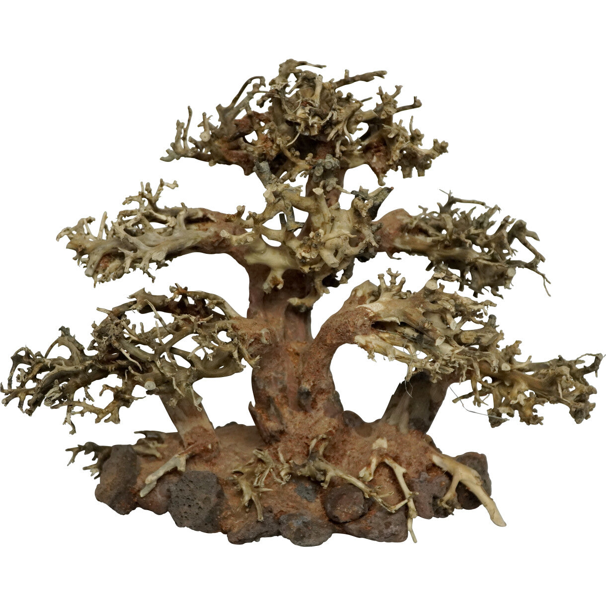 4FISH akvarie dekoration stort bonsaitræ