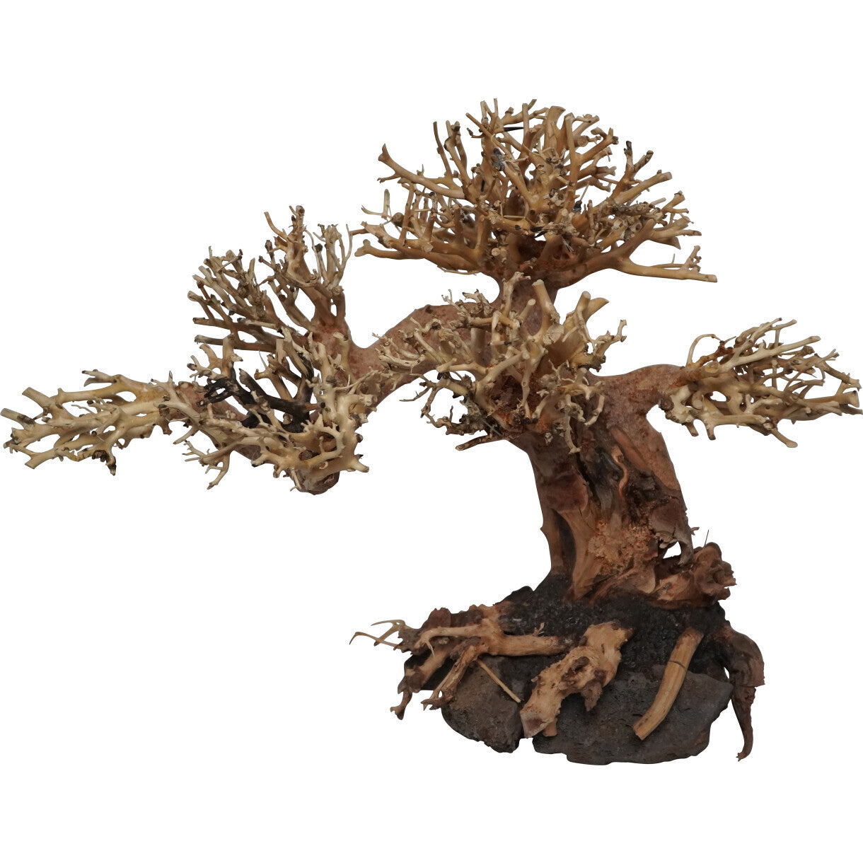 4FISH akvarie dekoration bonsaitræ