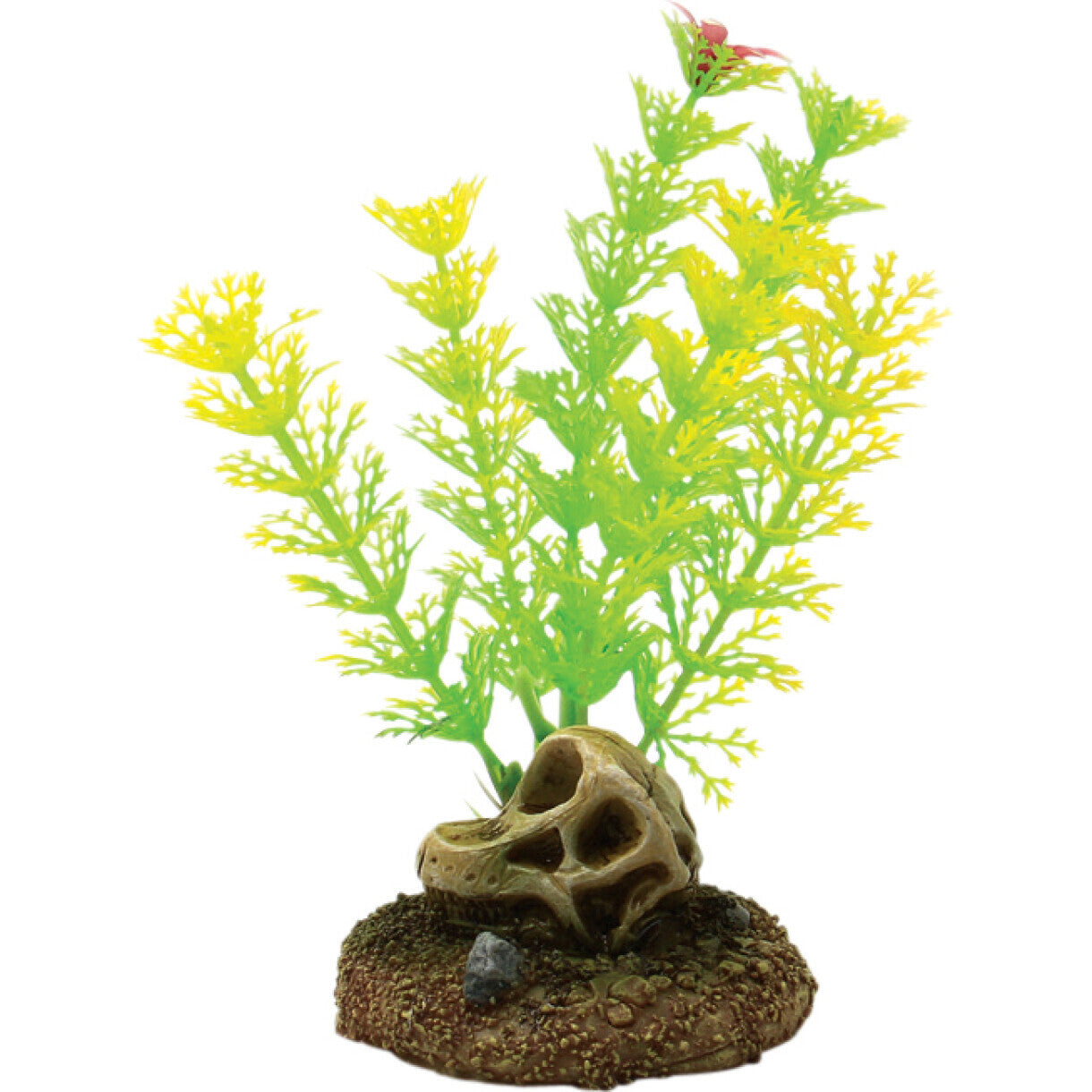 4FISH akvarie plasticplante Kranie og planter 6,5 x 6,3 x 13,3 cm