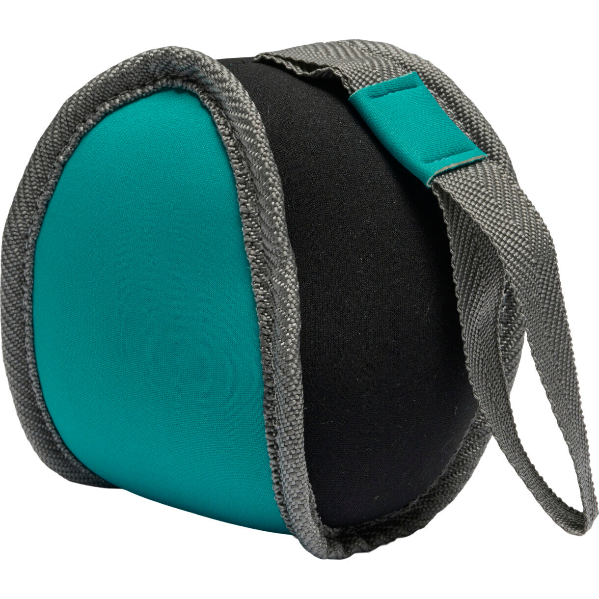 Companion flydende hval