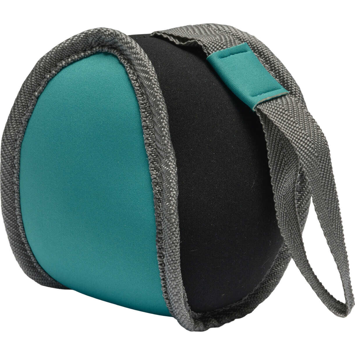 Companion flydende hval