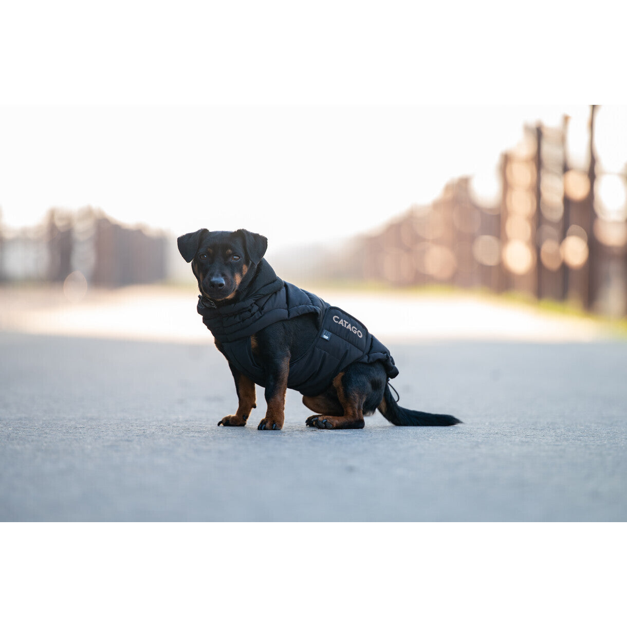 CATAGO FIR-Tech puffer hundedækken Sort