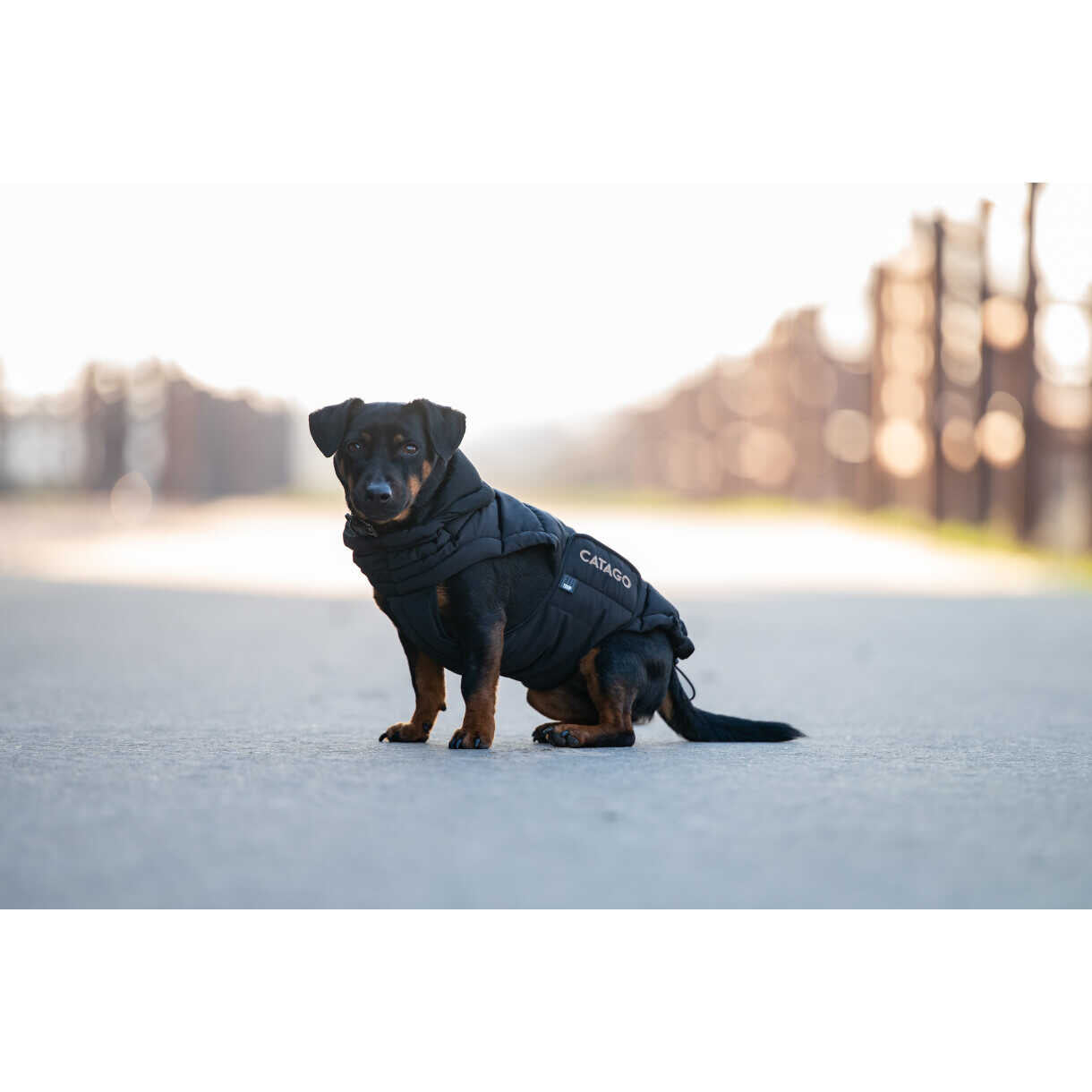 CATAGO FIR-Tech puffer hundedækken Sort