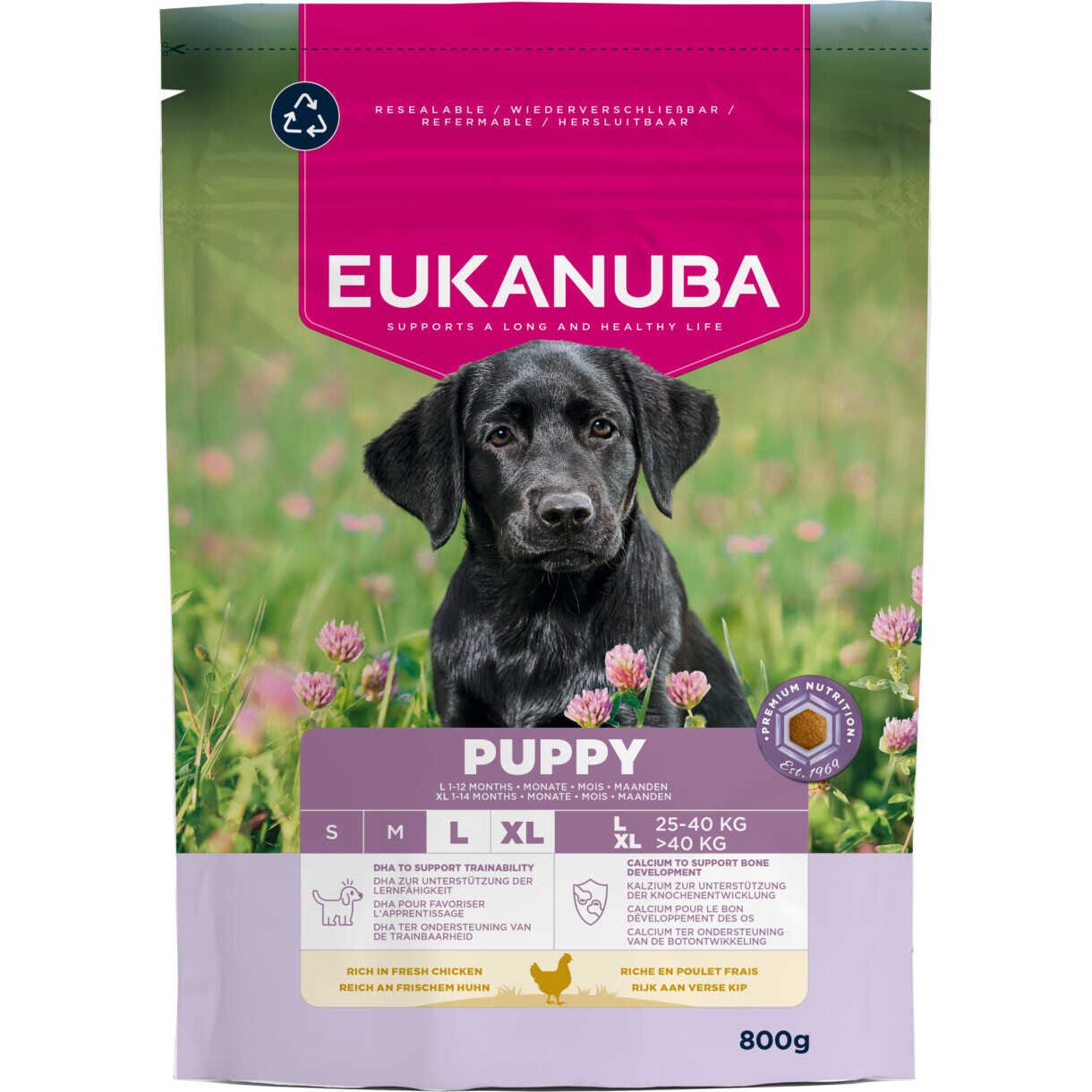 Eukanuba Puppy large breed hvalpefoder med kylling fra 4 uger til 12 mdr