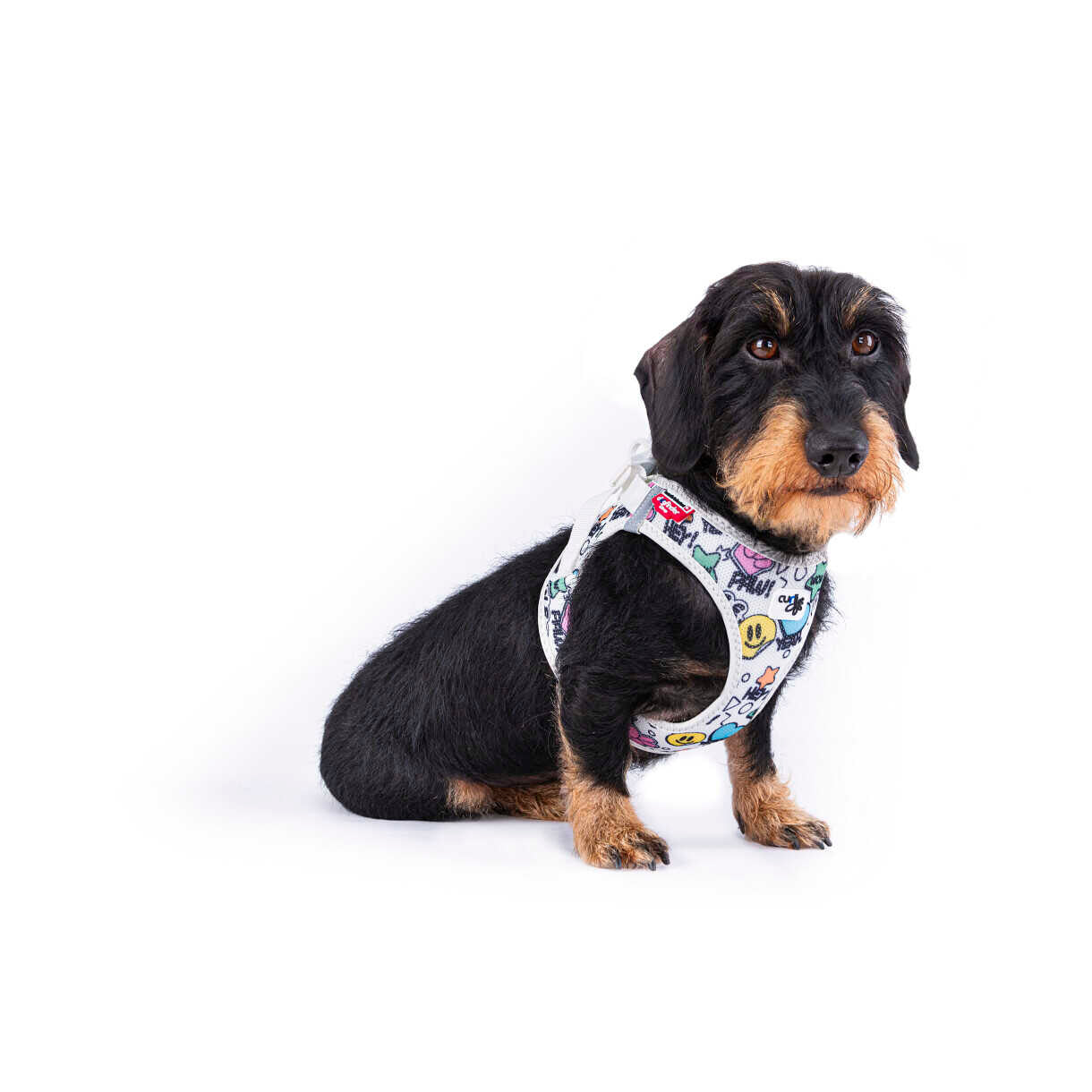 Curli Vest hundesele Clasp Air-Mesh - Limited Edition