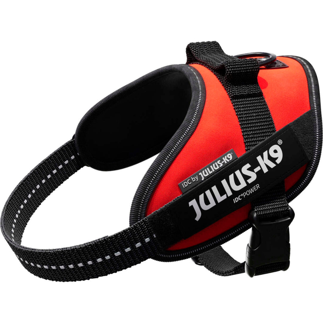 Julius K9 IDC - hundeseler med refleks til alle typer af hunde - Rød