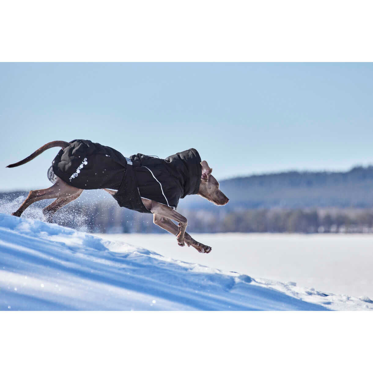 Hurtta Extreme Warmer III ECO hundefrakke - Raven