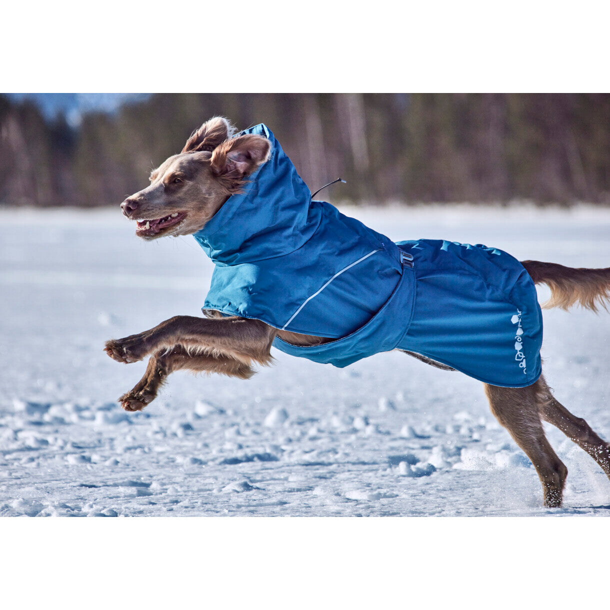 Hurtta Extreme Warmer III ECO hundefrakke - Bilberry