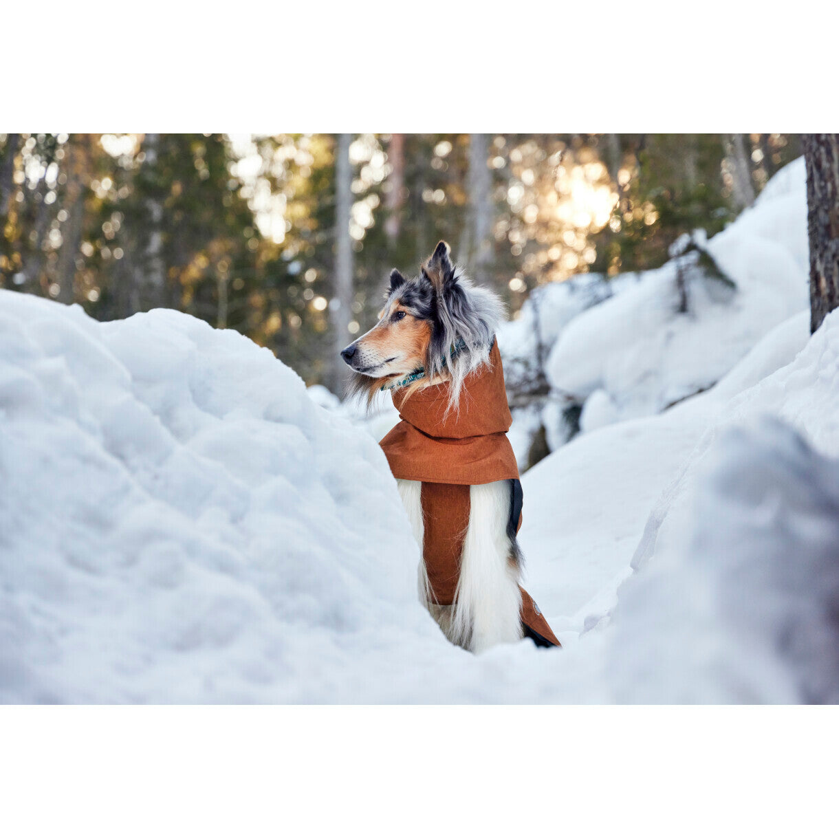 Hurtta Monsoon II ECO hundefrakke - Desert