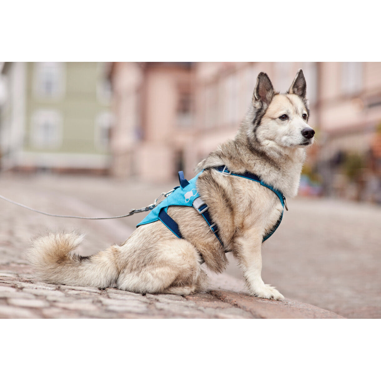 Hurtta Safeguard ECO hundesele