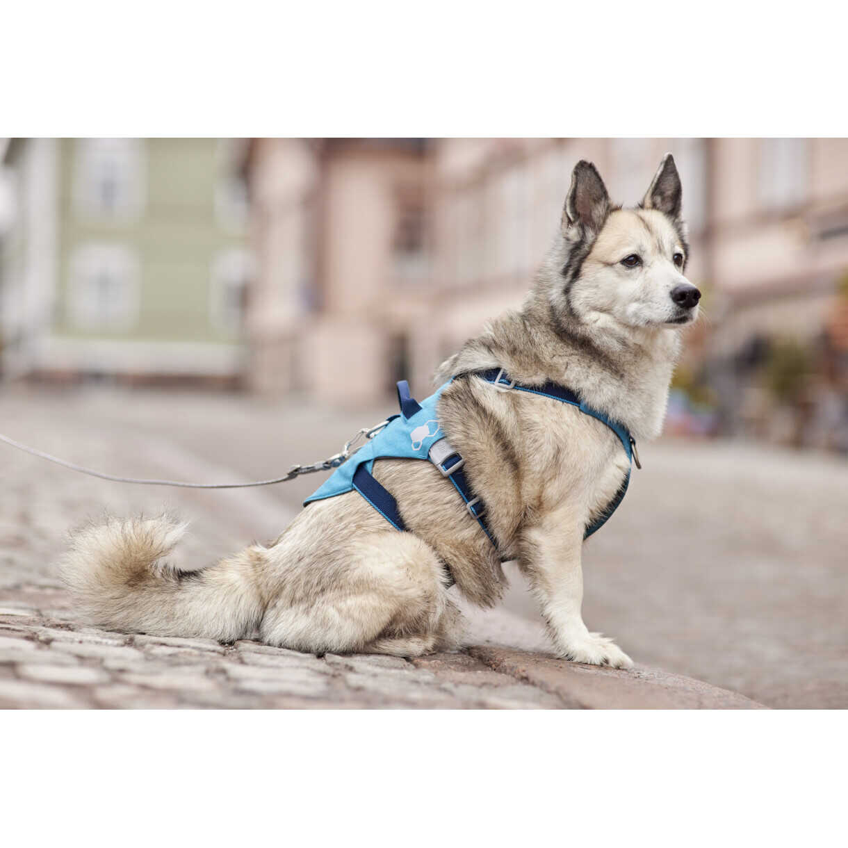 Hurtta Safeguard ECO hundesele