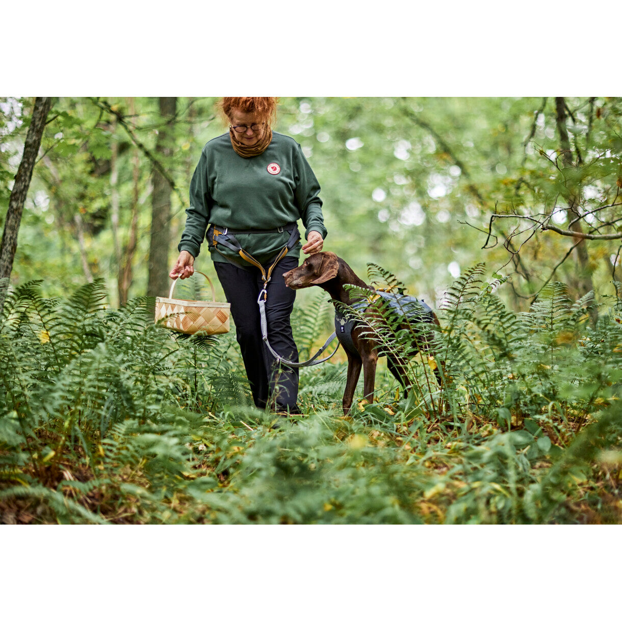 Hurtta Safeguard ECO hundesele