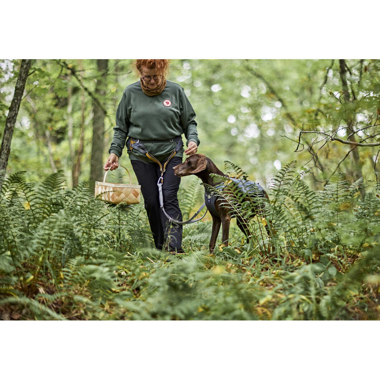 Hurtta Safeguard ECO hundesele