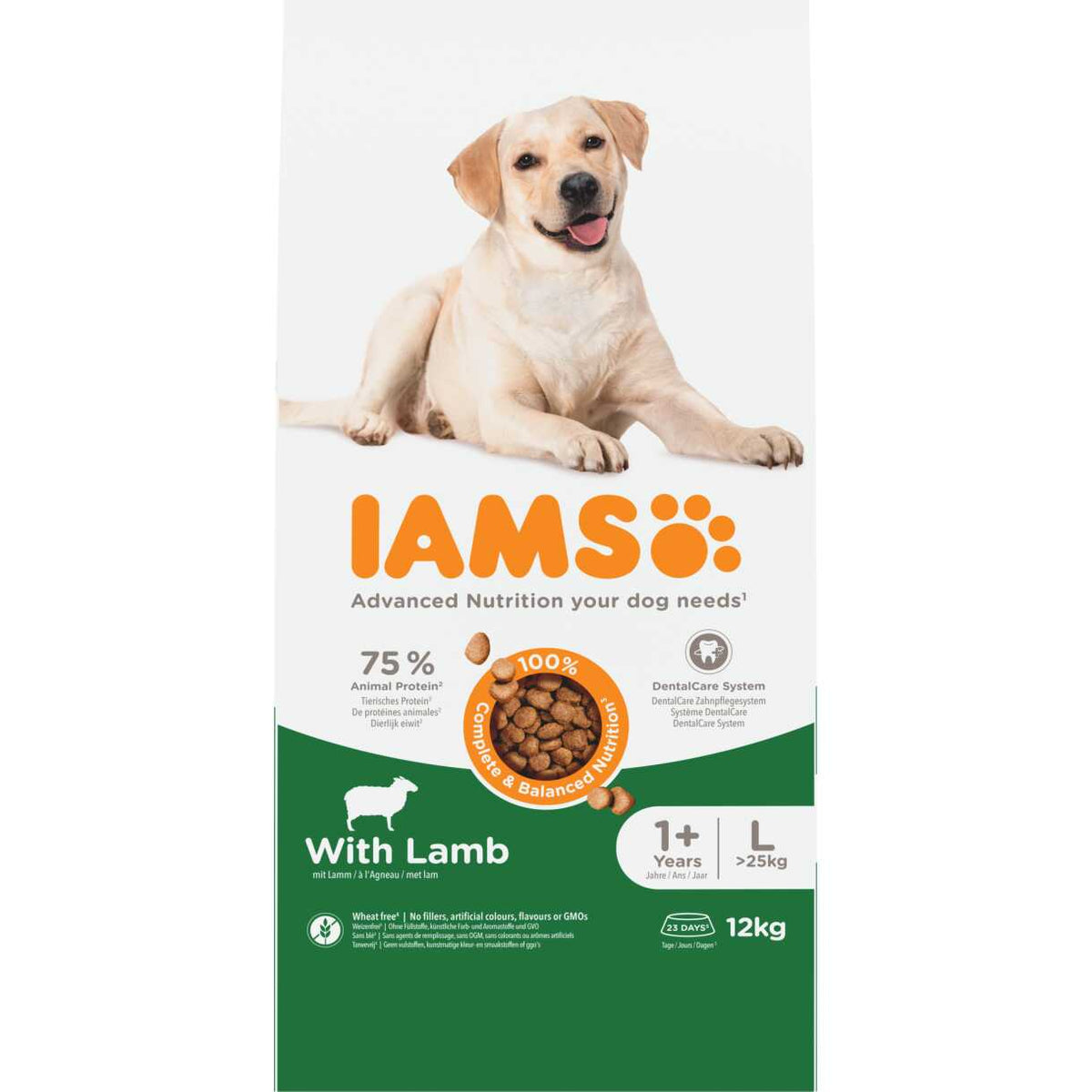 IAMS Adult Large Breed med lam