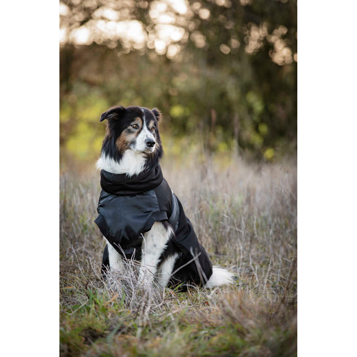 CATAGO FIR-Tech hundedækken - Sort