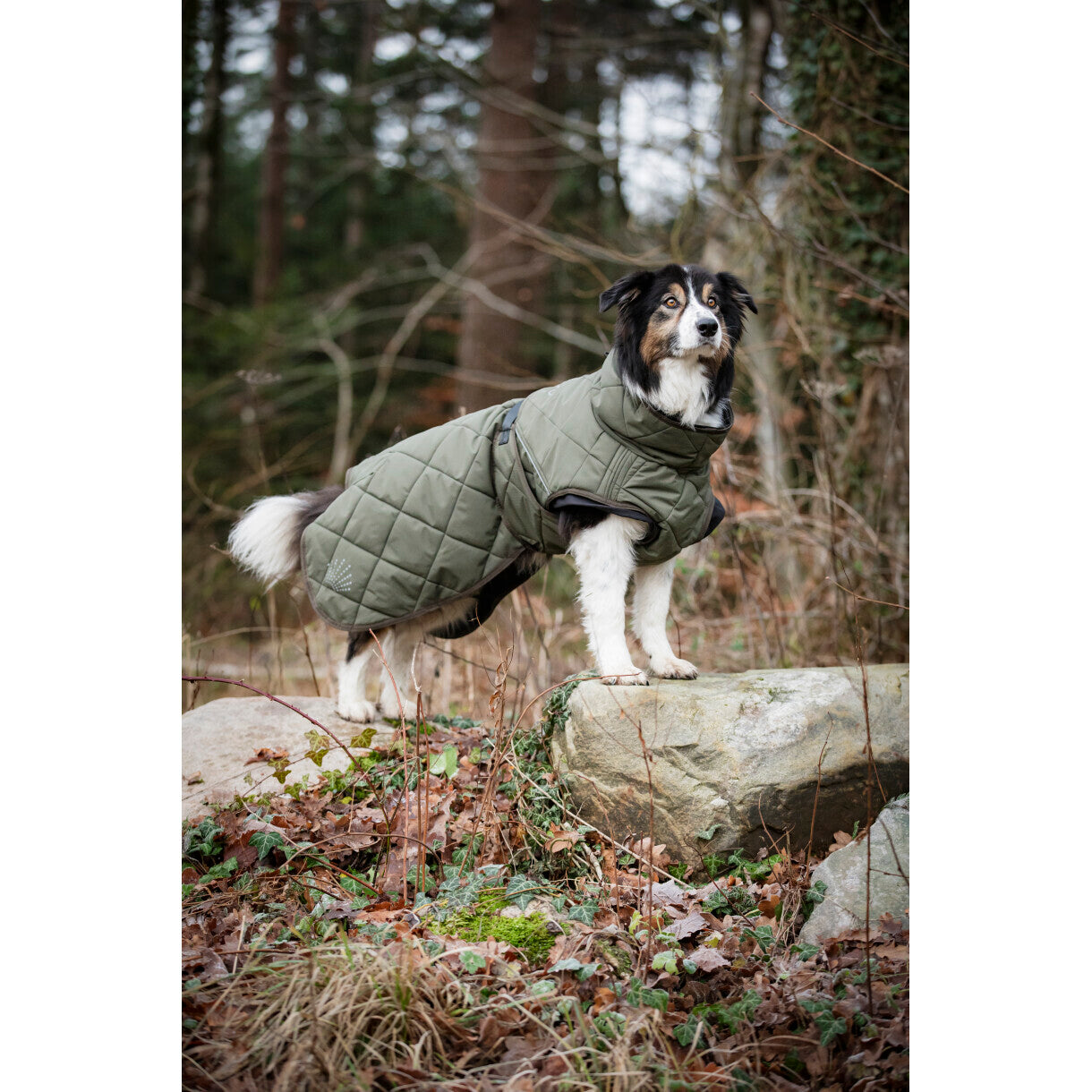 CATAGO FIR-Tech Trainer hundedækken - grøn