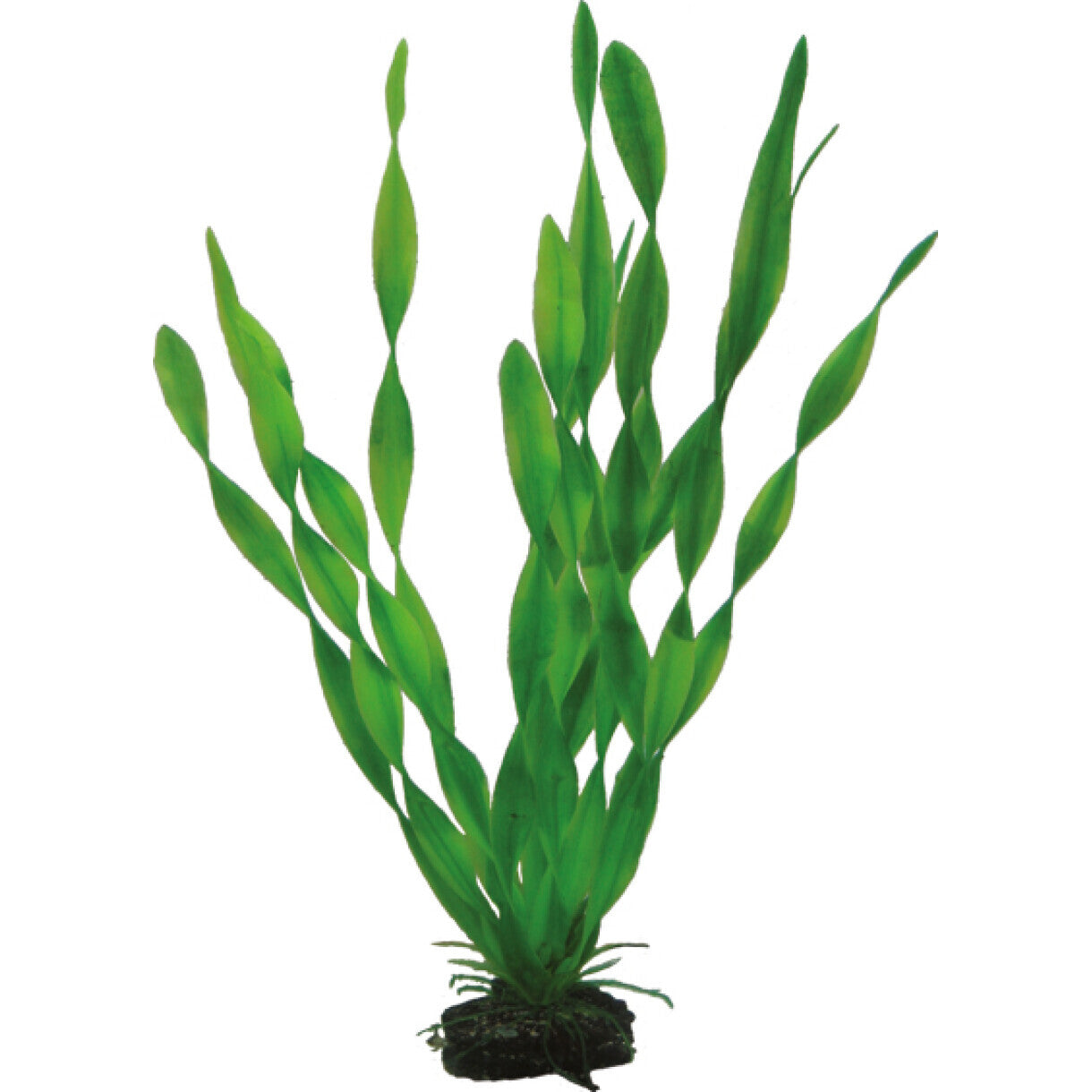 Akvarie plasticplante Vallisneria