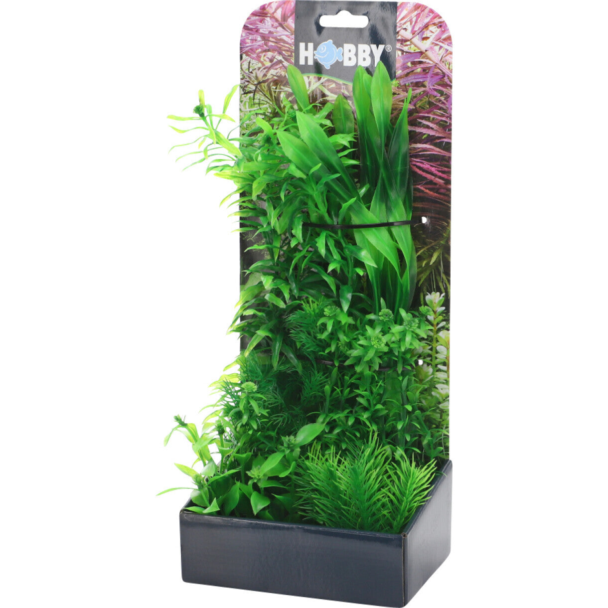 Akvarie Plante sæt 4