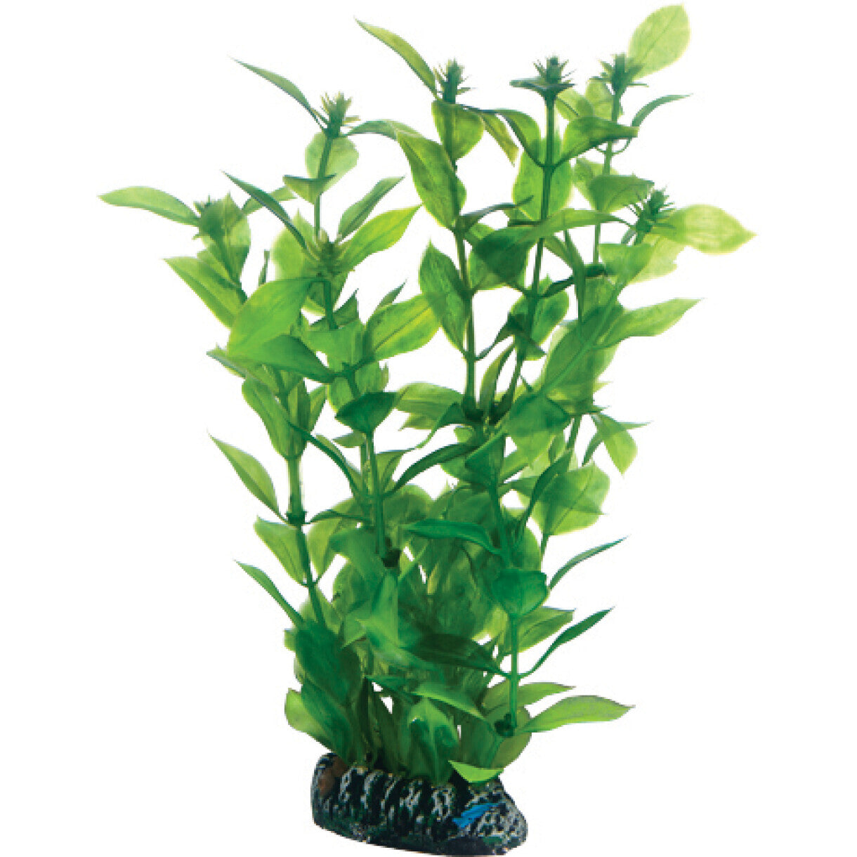 Akvarie plasticplante Hygrophila