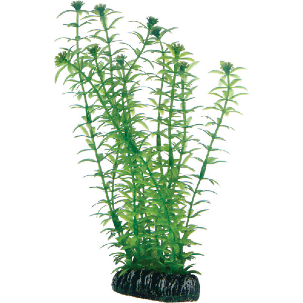 Akvarie plasticplante Lagarosiphon