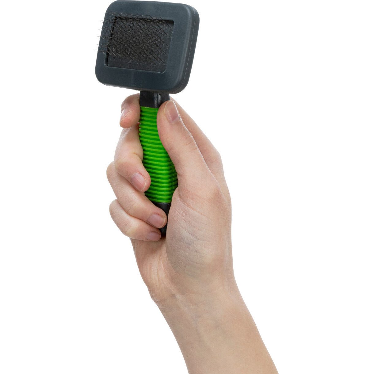 Trixie Karte til smådyr